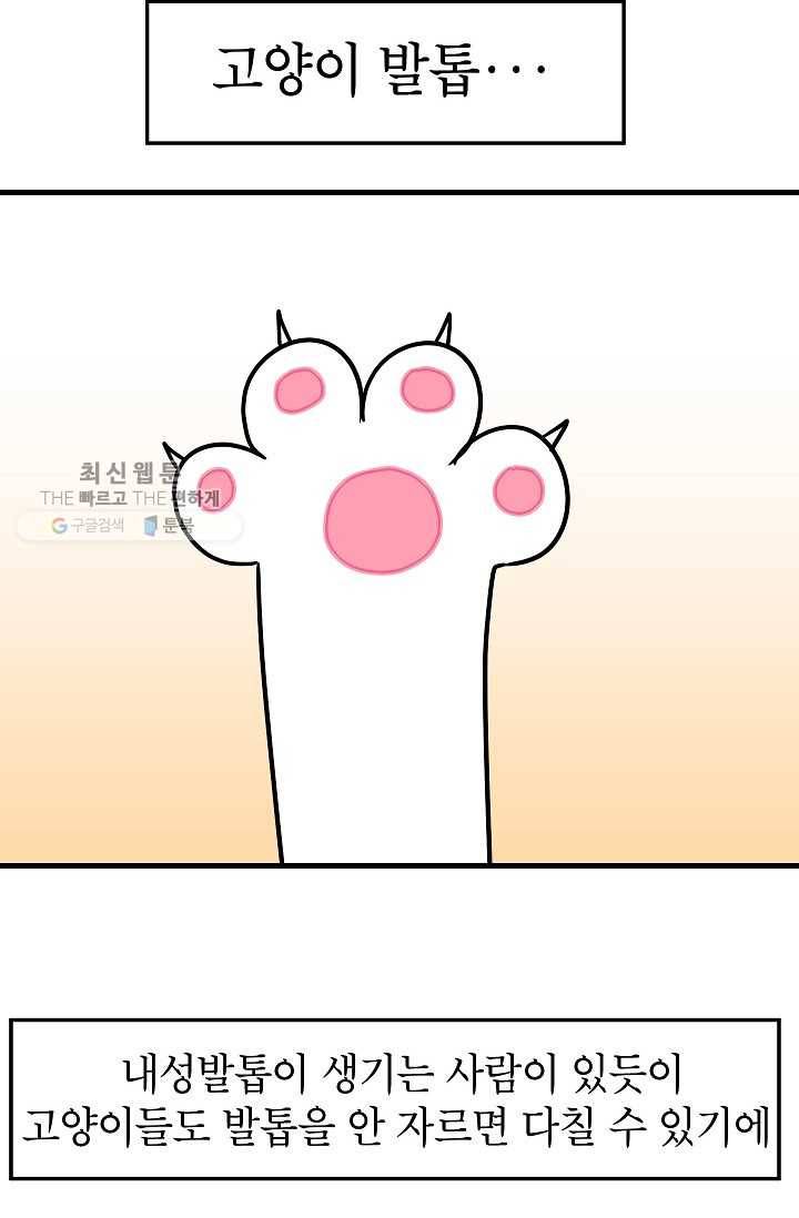 넘 많은 고양! 057화 2