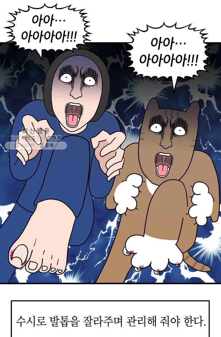 넘 많은 고양! 057화 3