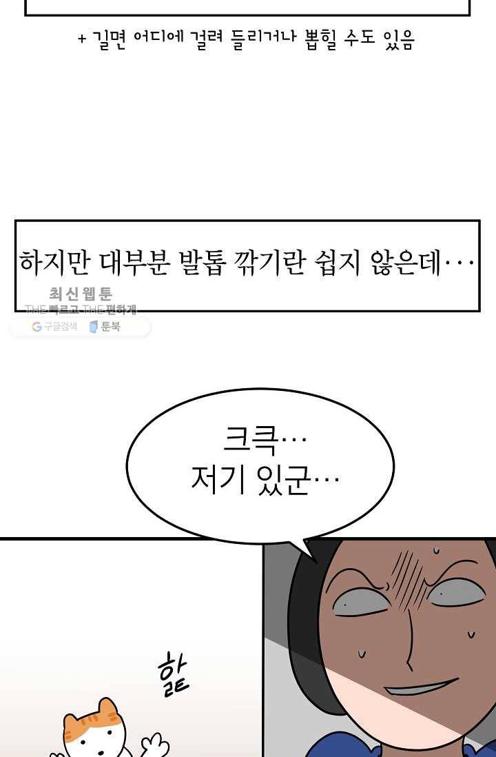 넘 많은 고양! 057화 4