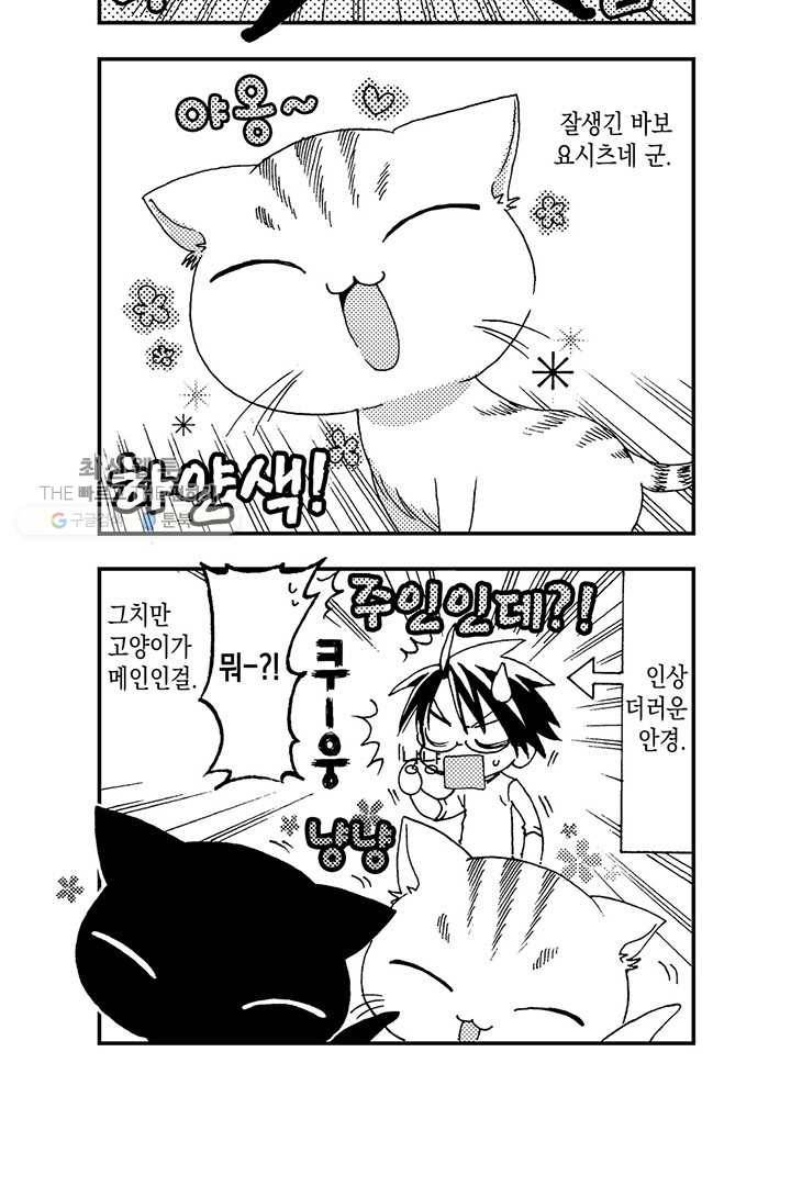 아시야 씨네 고양이 2화 6
