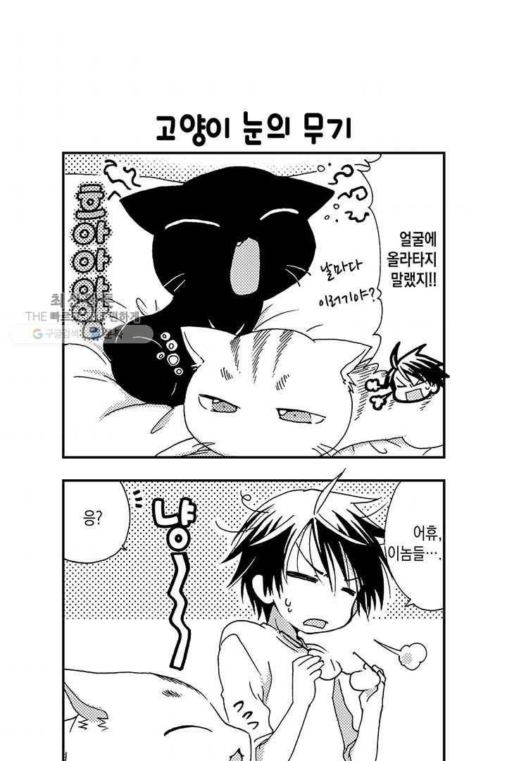아시야 씨네 고양이 2화 9