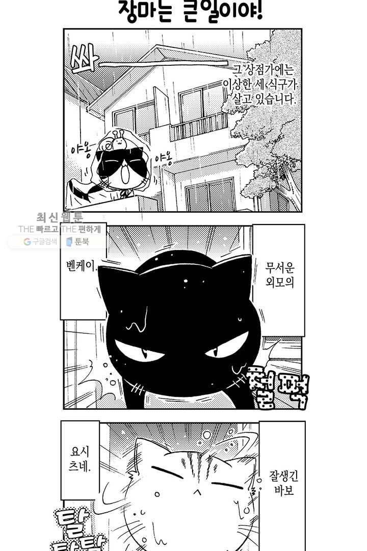 아시야 씨네 고양이 12화 5