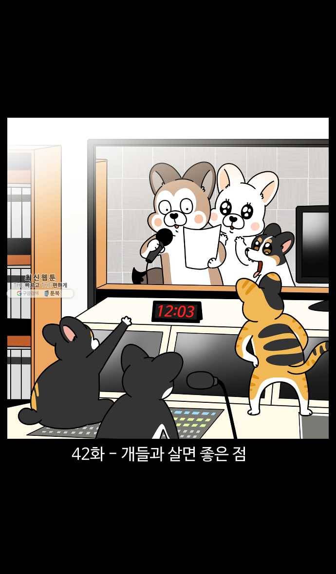 노곤하개 시즌4 42화 개들과 살면 좋은 점 1