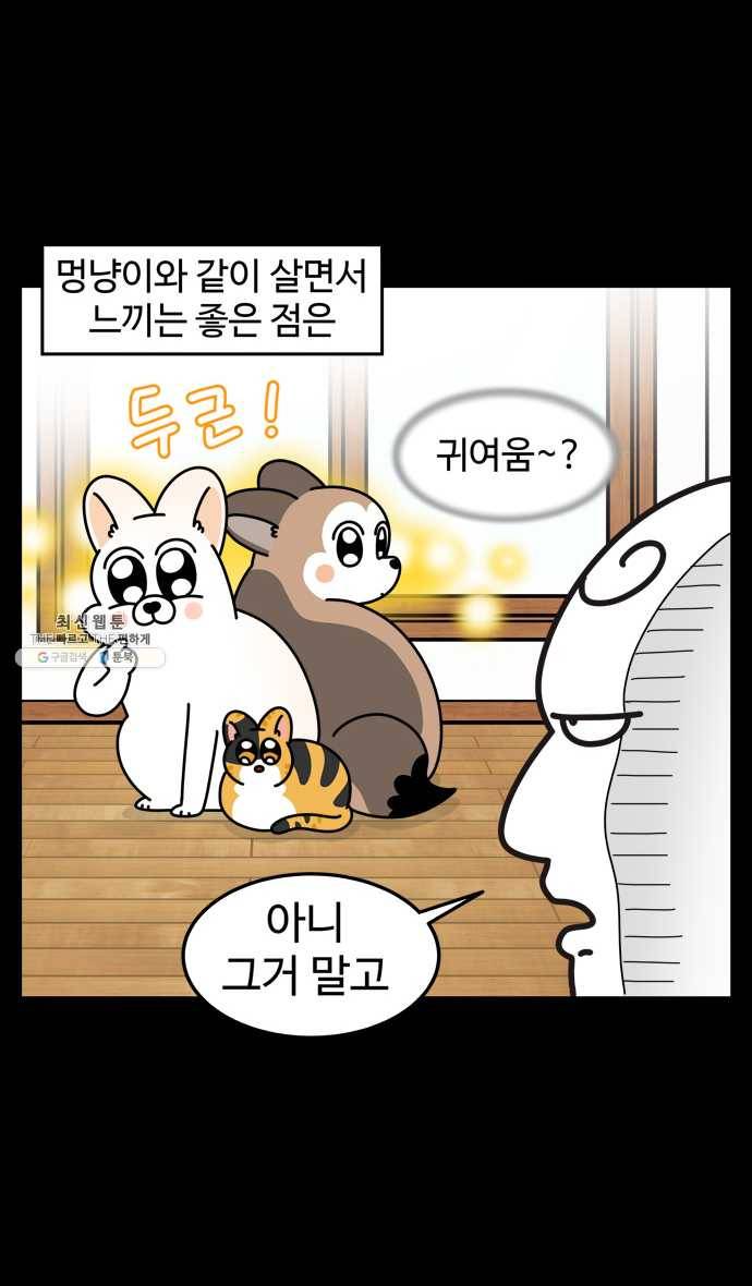 노곤하개 시즌4 42화 개들과 살면 좋은 점 2