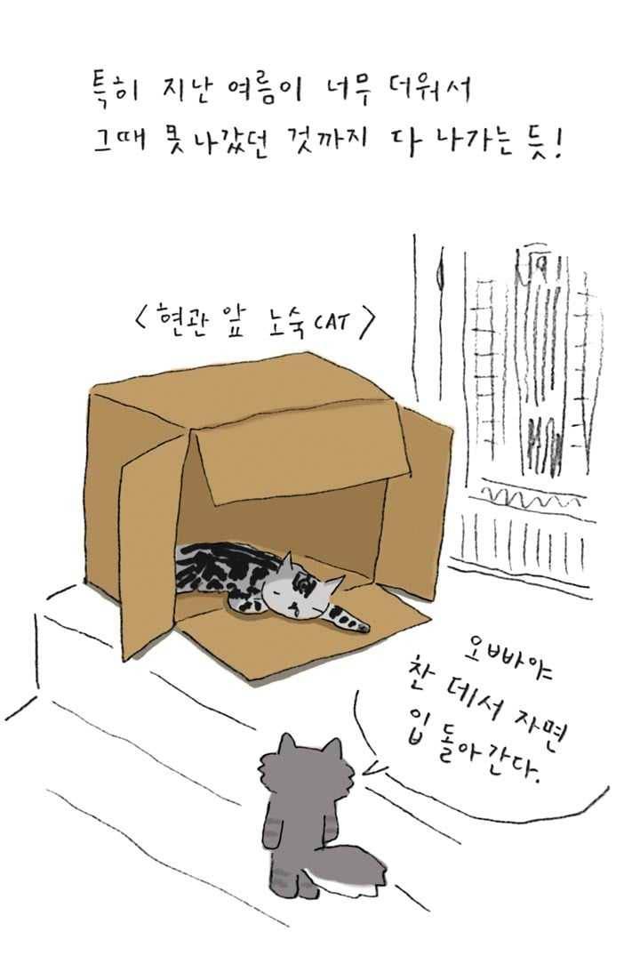 은동은동+옹동스 135화. 은동 없는 삶 4