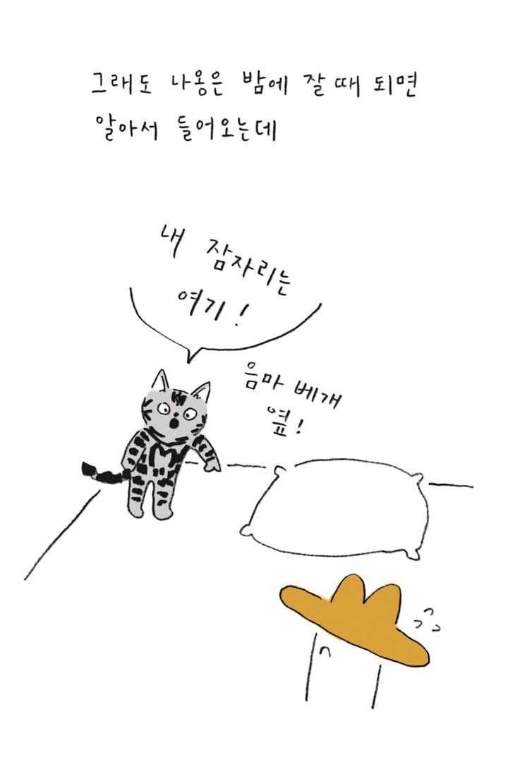은동은동+옹동스 135화. 은동 없는 삶 5