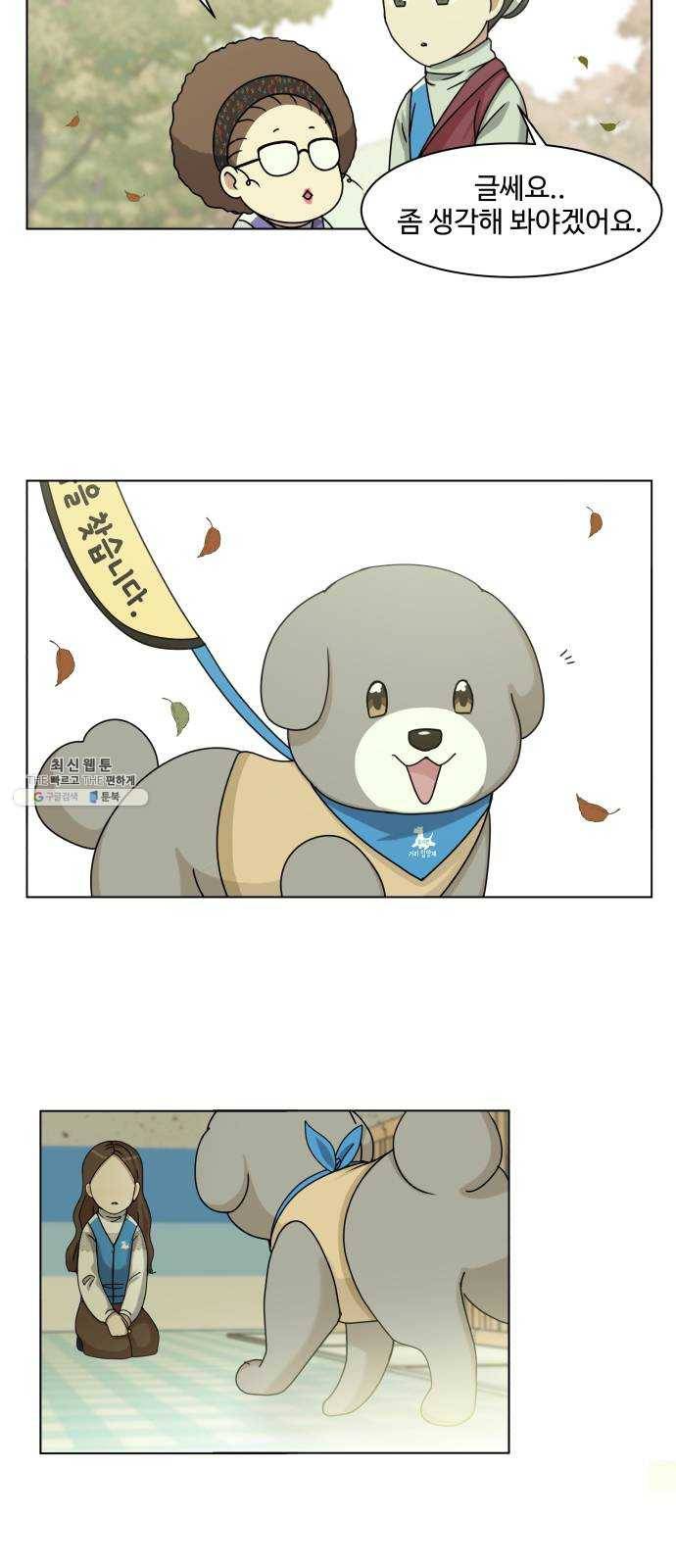 개를 낳았다 시즌2 52화 2
