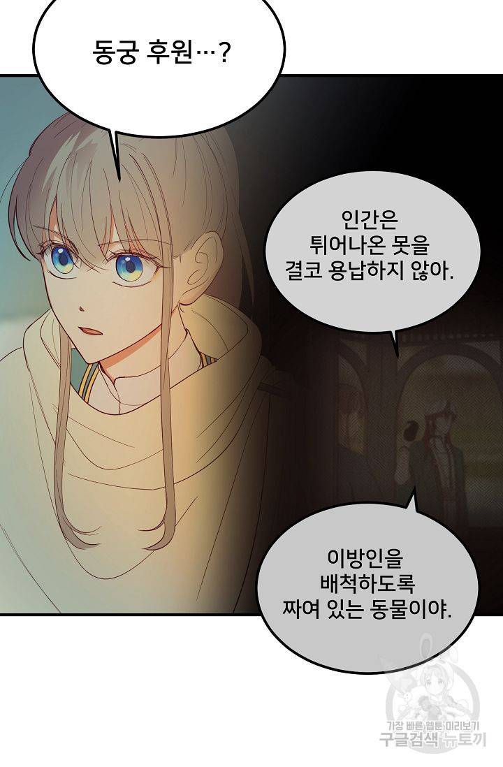 램프의 아미나 77화 20
