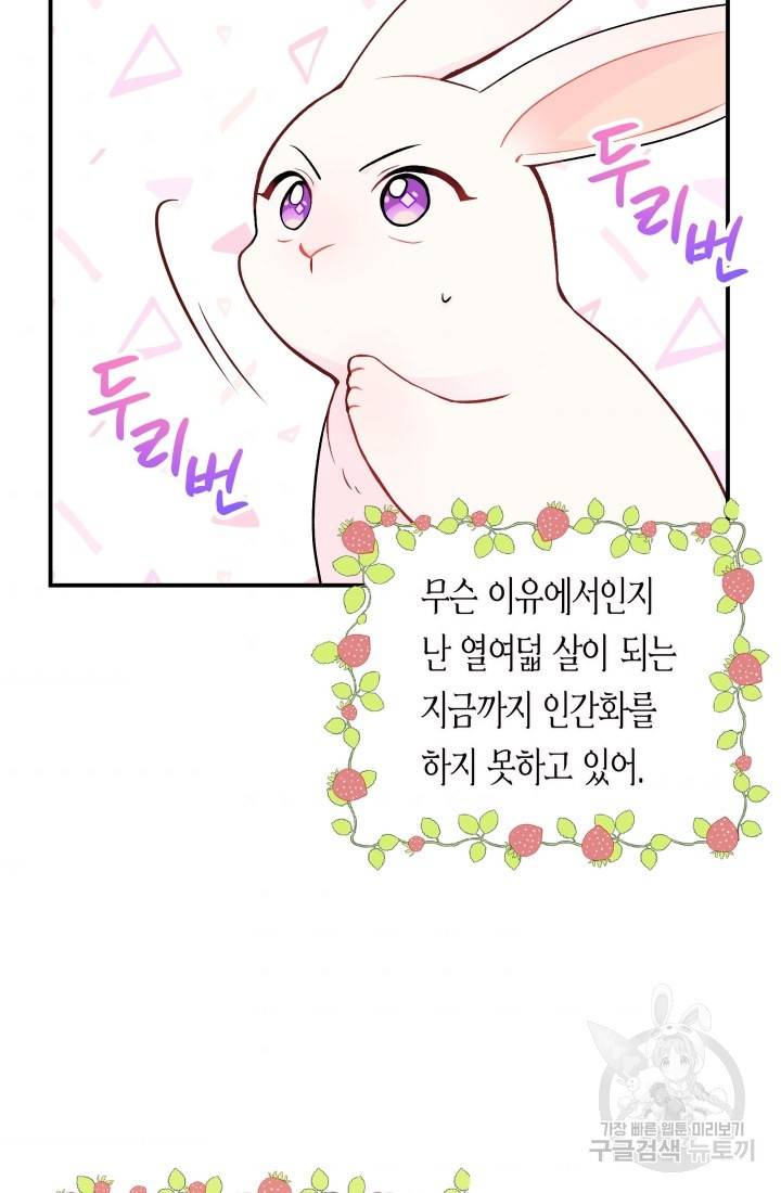 토끼와 흑표범의 공생관계 2화 3
