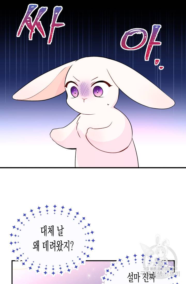 토끼와 흑표범의 공생관계 2화 9