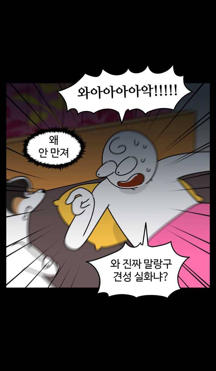 노곤하개 시즌4 52화 집사의 불면증 3