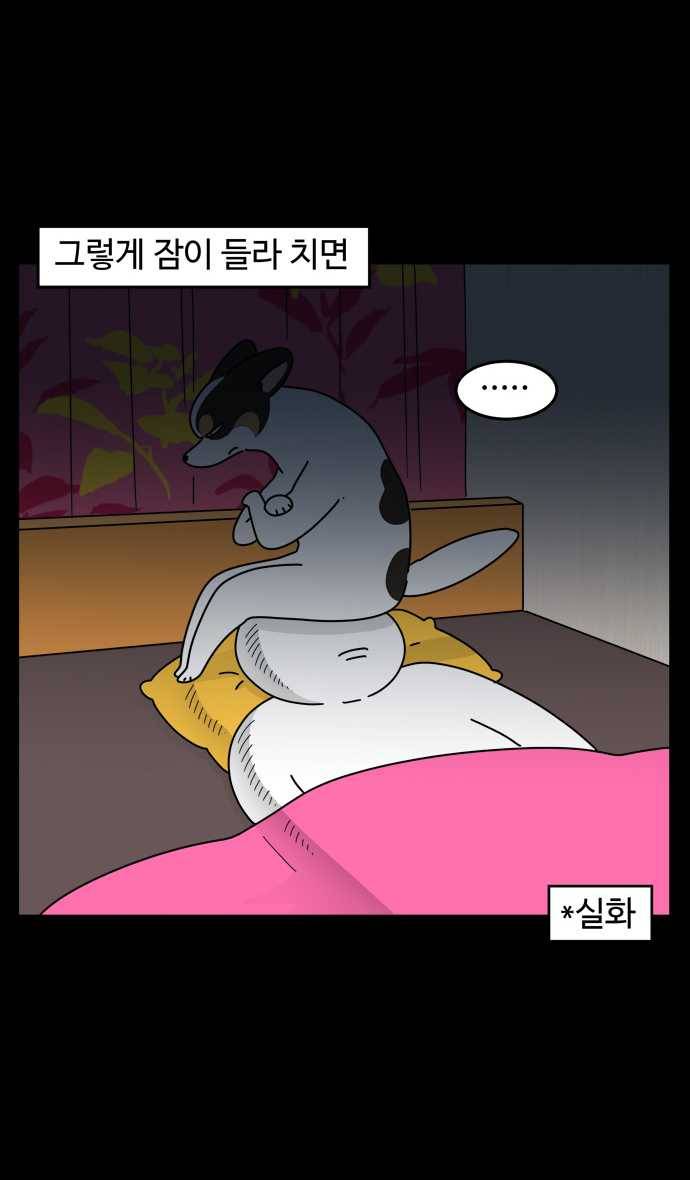 노곤하개 시즌4 52화 집사의 불면증 4