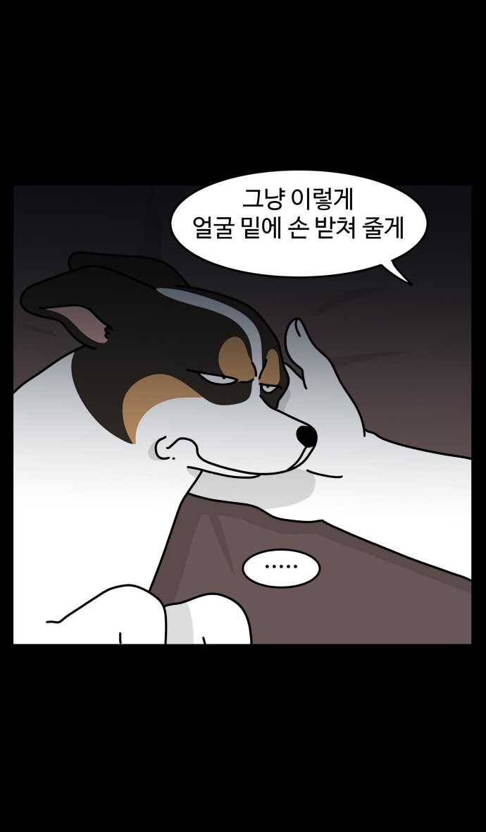 노곤하개 시즌4 52화 집사의 불면증 5