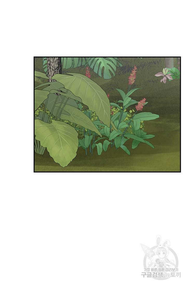 토템의 영역 36화 80