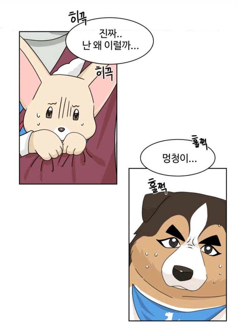 개를 낳았다 시즌2 58화 4