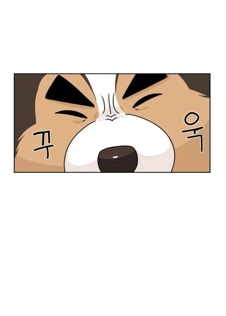 개를 낳았다 시즌2 58화 5
