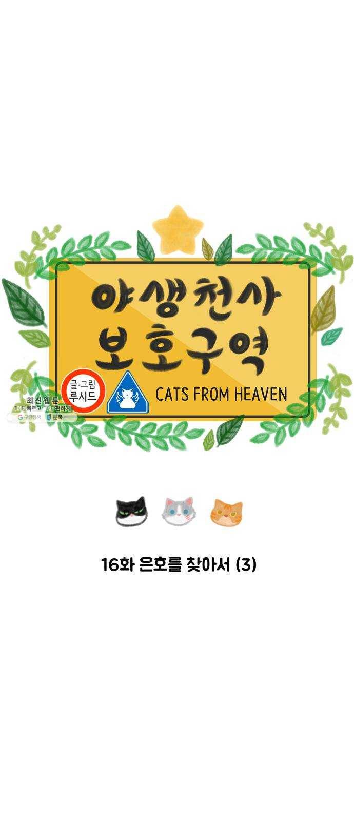 야생천사 보호구역 16화 은호를 찾아서 (3) 6