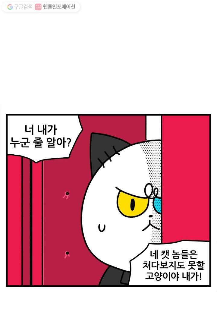 신세개냥 11화 2