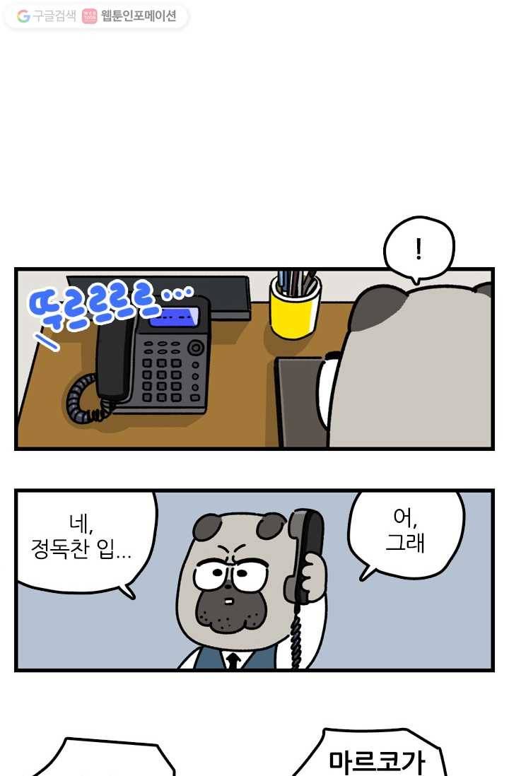 신세개냥 41화 2