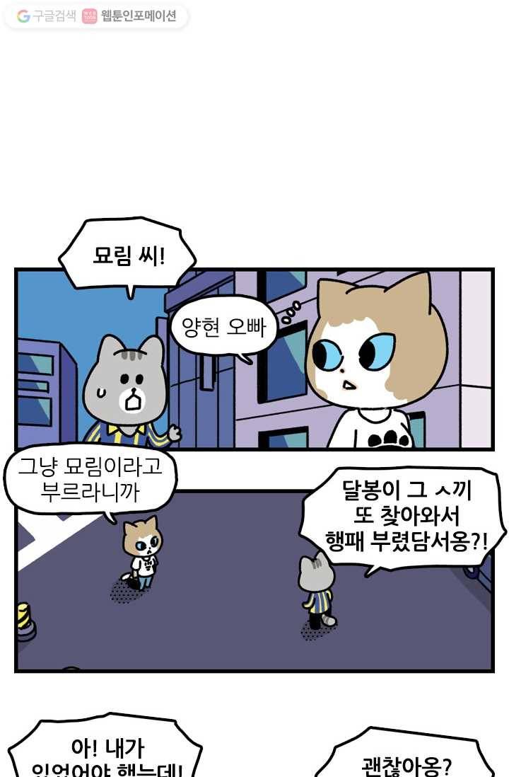 신세개냥 61화 2