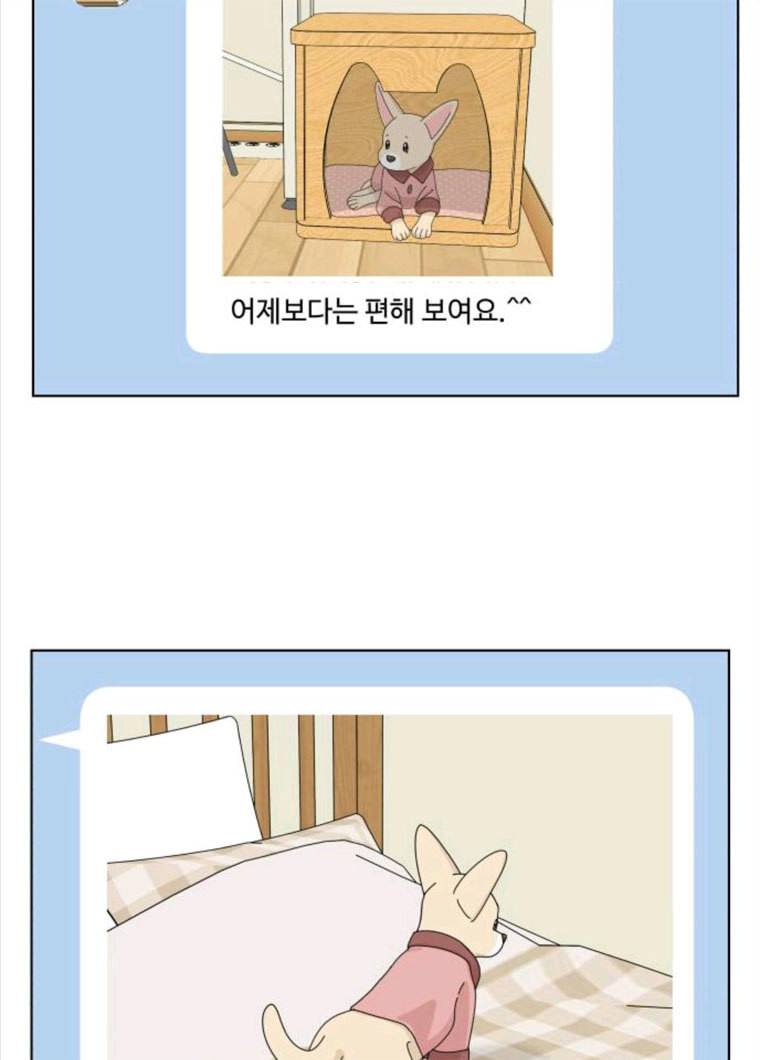 개를 낳았다 시즌2 62화 6