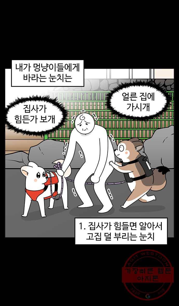 노곤하개 시즌4 60화 눈치 좀 3