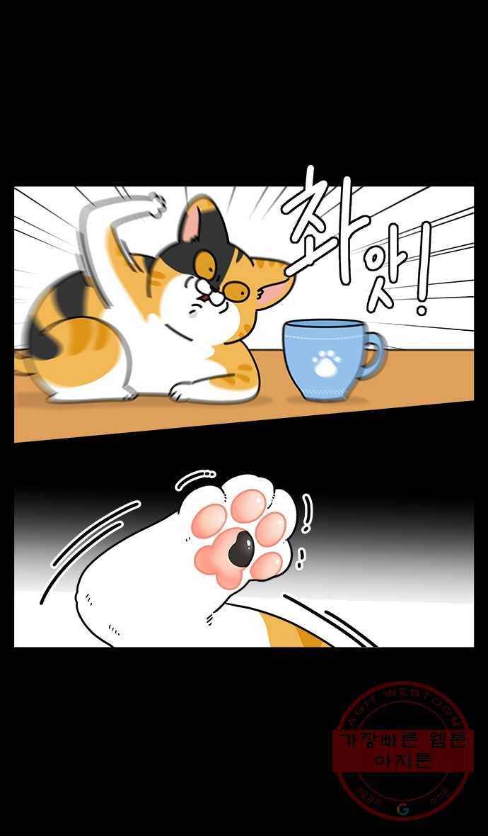 노곤하개 시즌4 60화 눈치 좀 4
