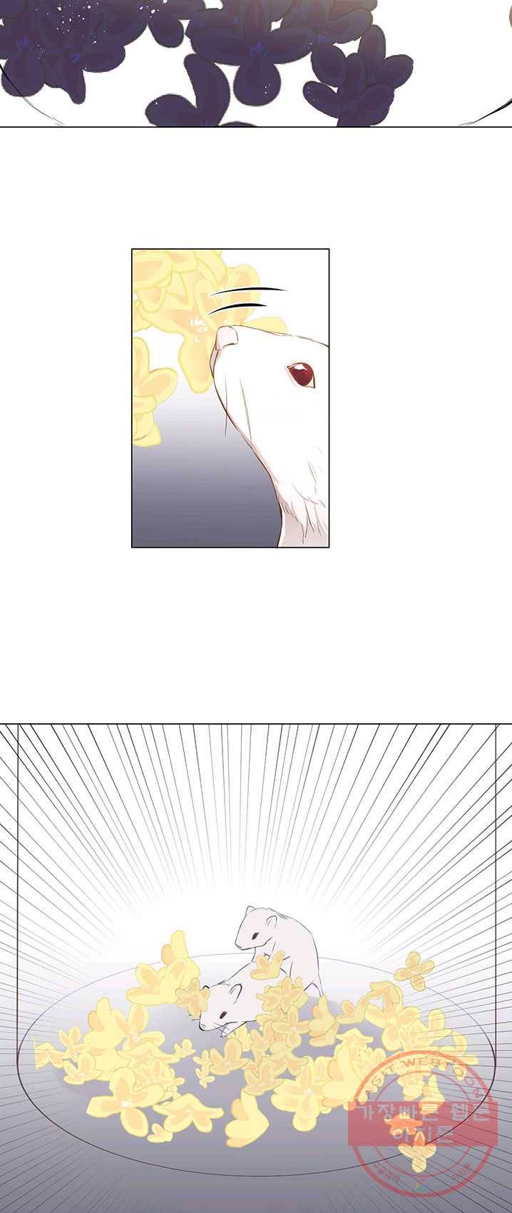 공주전쟁 40화 11