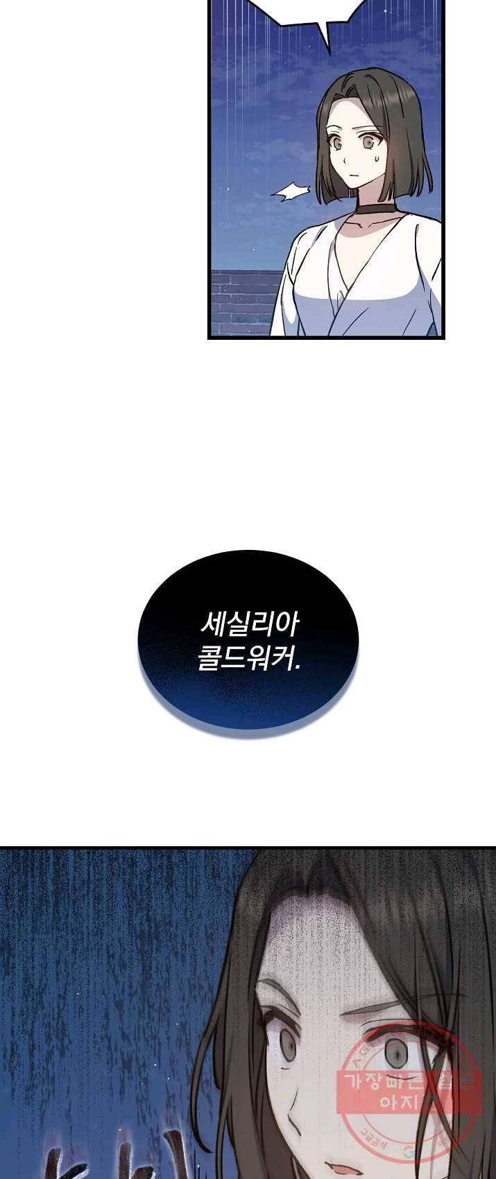 8클래스 마법사의 회귀 10화 41