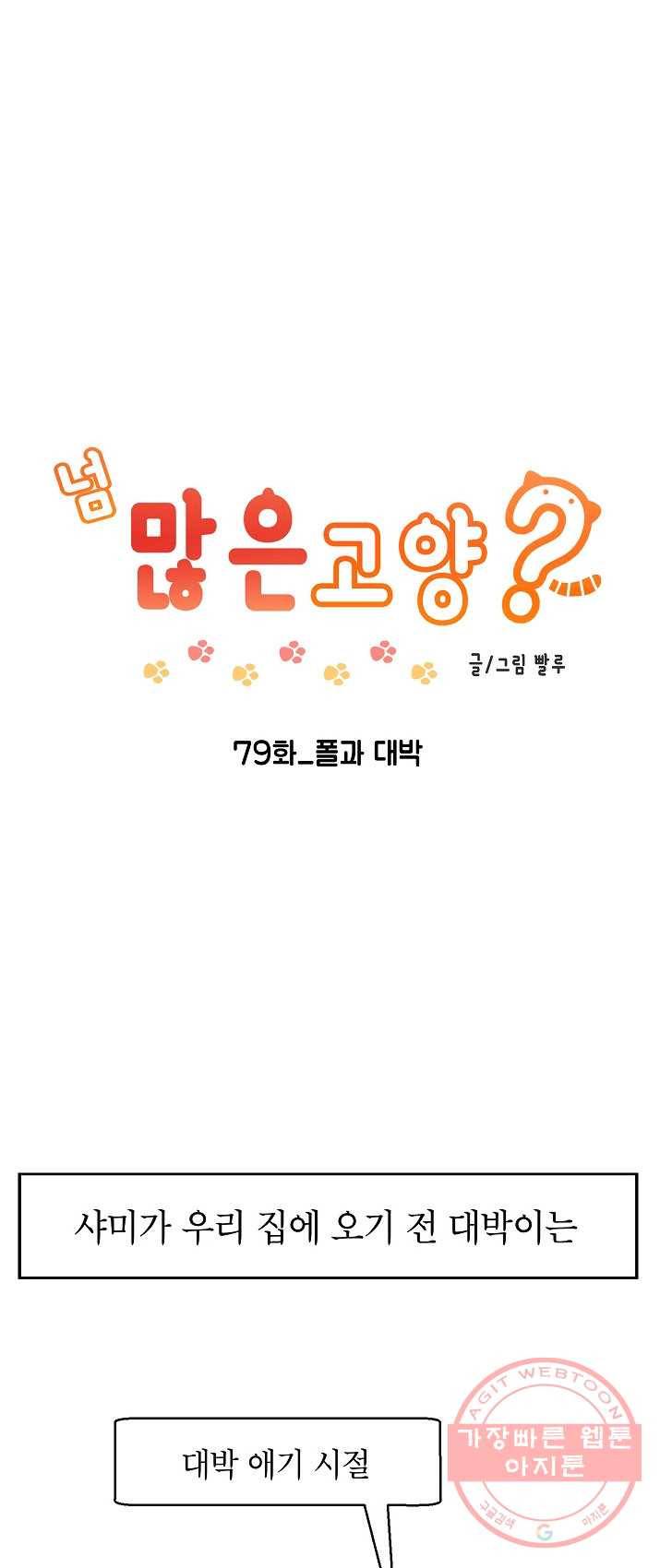 넘 많은 고양! 080화 1