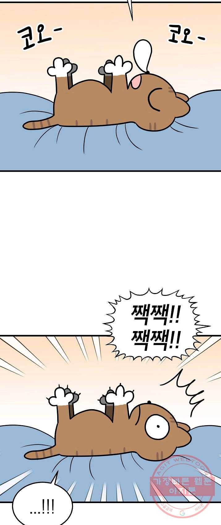 넘 많은 고양! 080화 2