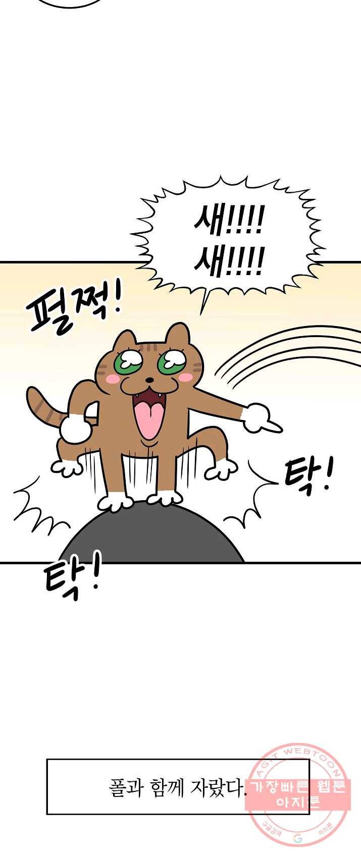 넘 많은 고양! 080화 3