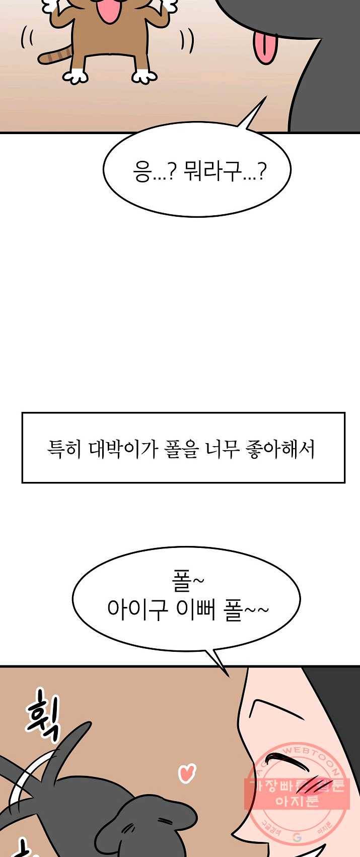 넘 많은 고양! 080화 6