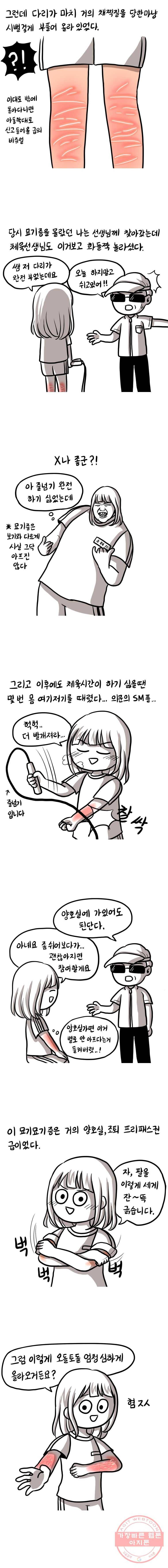쓰레기 머학생 113화 묘기증으로 묘기부리는 만화 2