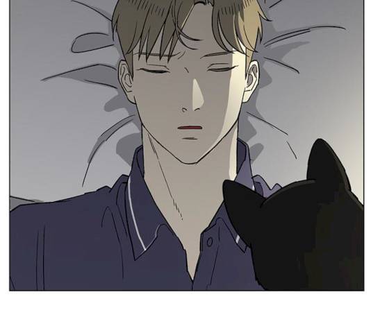 백호랑 64화 8