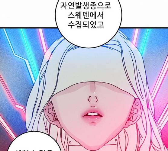 버그 시즌2 25화 10