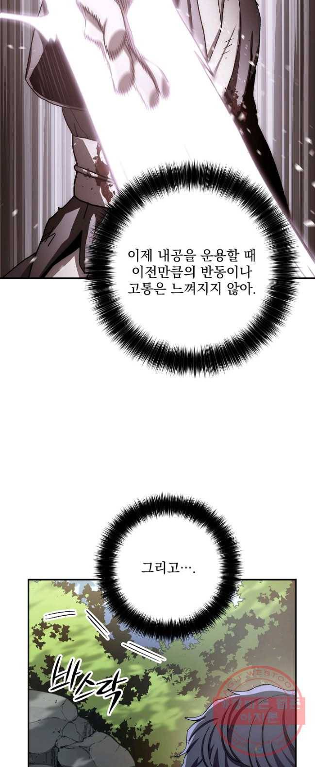 수라전설 독룡 45화 33