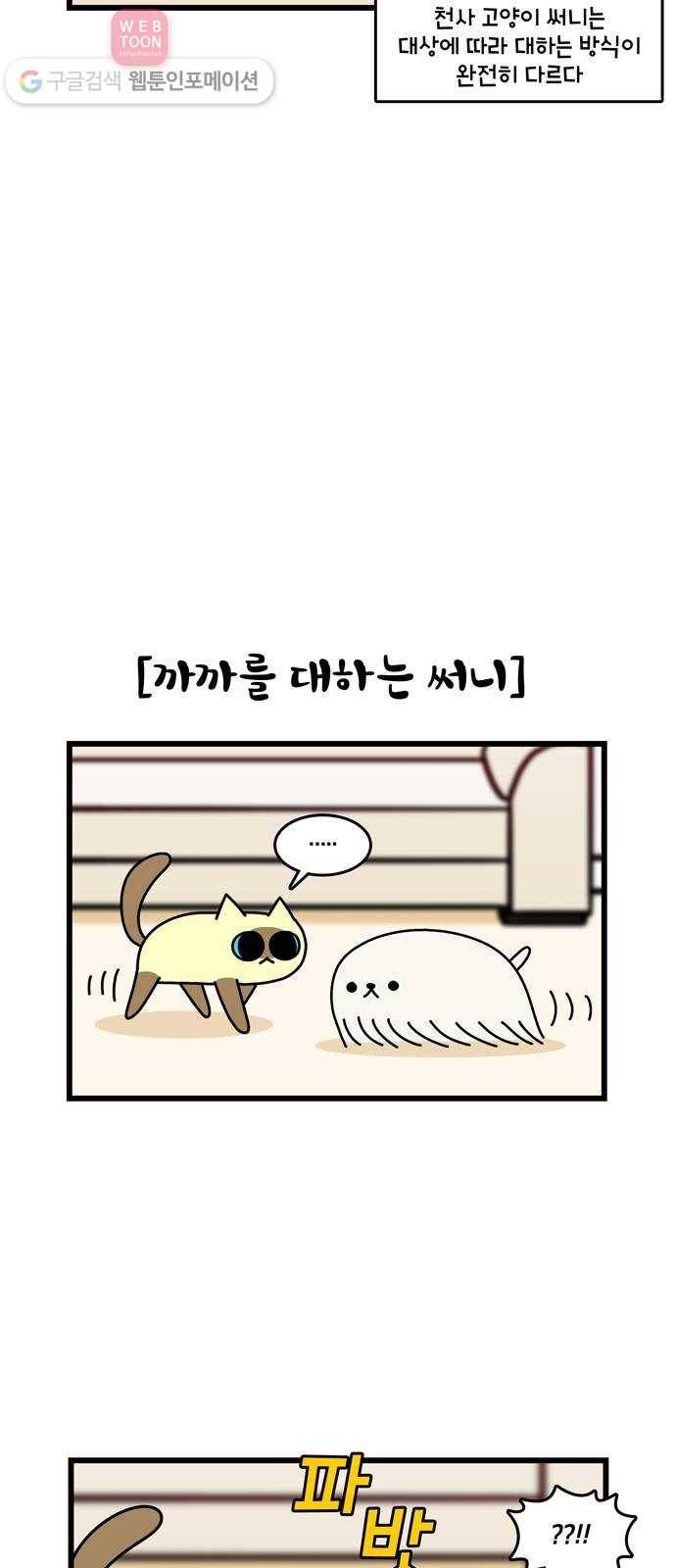 윌유메리미 시즌2 276화 써니♥ 3