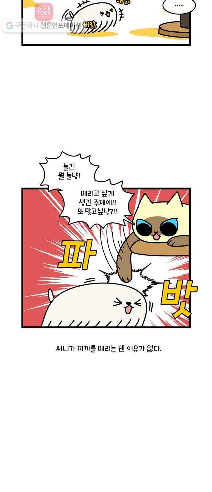 윌유메리미 시즌2 276화 써니♥ 5