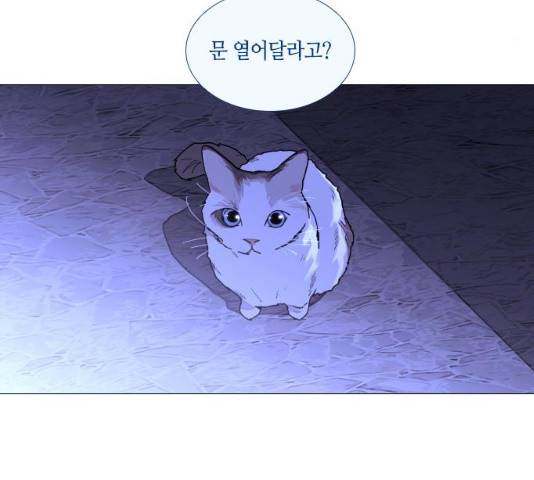 트럼프 시즌4 79화 99