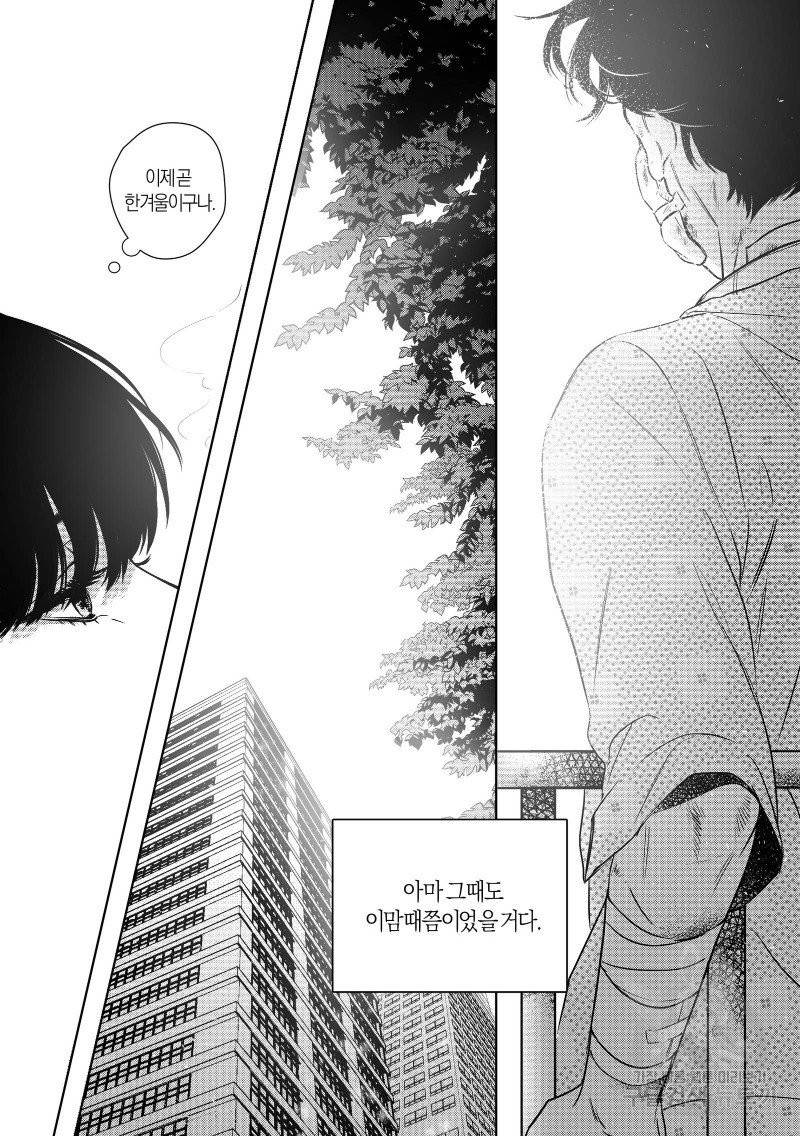 향하는 길의 마지막 걸음 上권 135