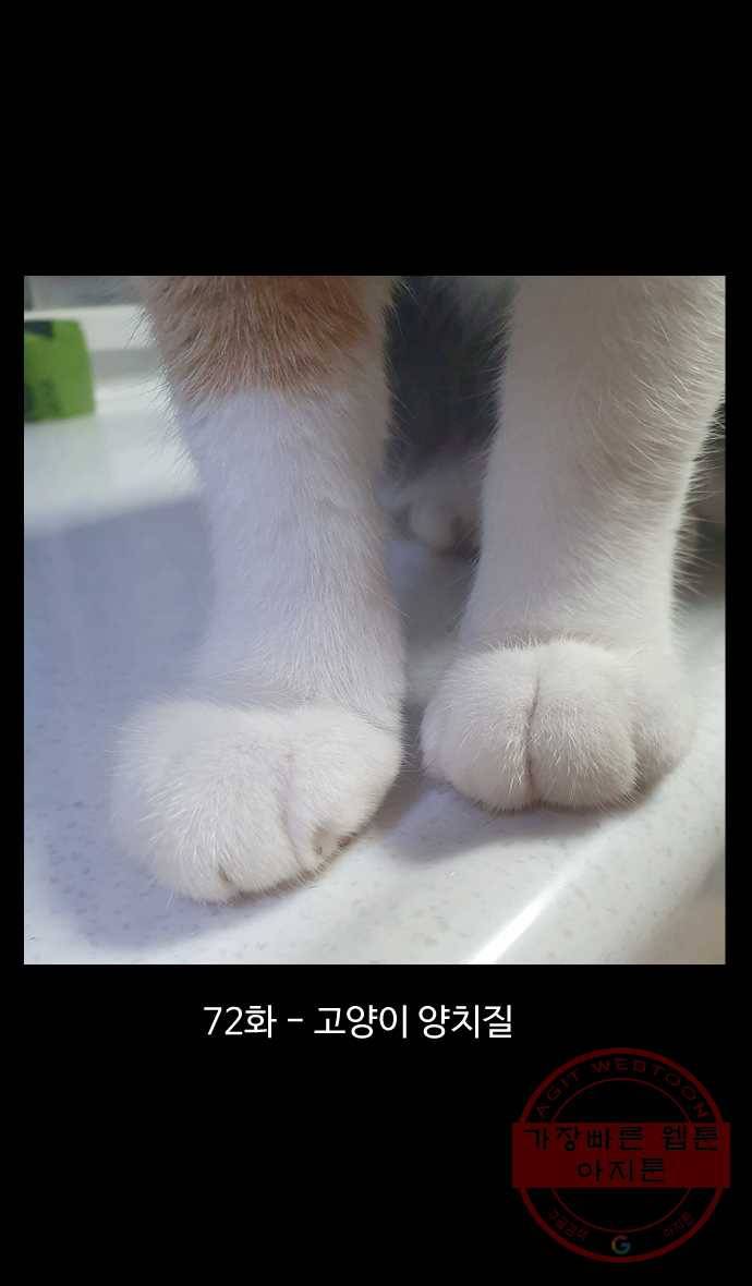 노곤하개 시즌4 72화 고양이 양치질 1