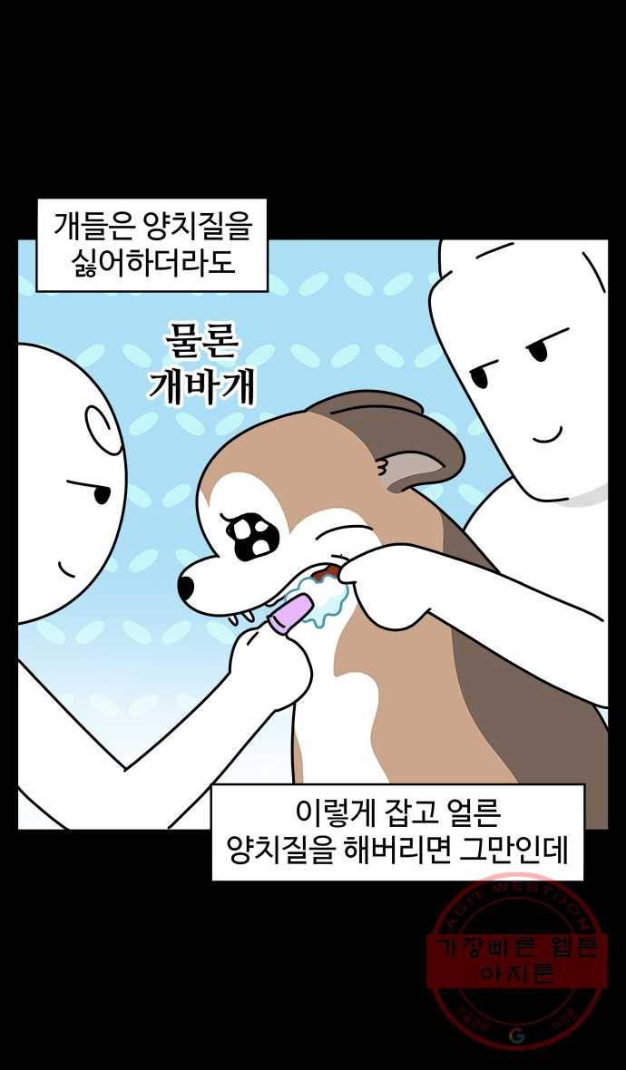 노곤하개 시즌4 72화 고양이 양치질 5