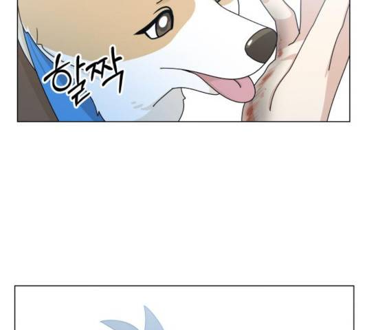 개를 낳았다 시즌2 67화 8