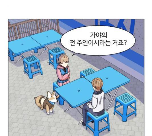 개를 낳았다 시즌2 67화 16