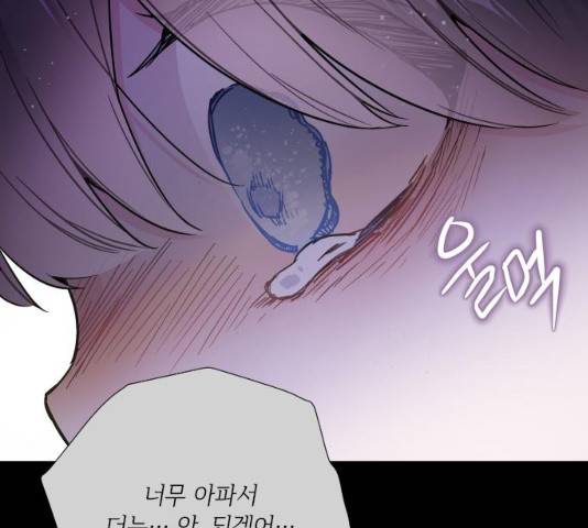 그 기사가 레이디로 사는 법 26화 62