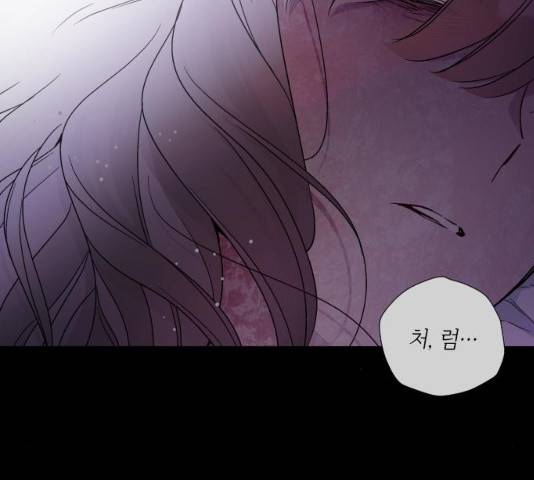 그 기사가 레이디로 사는 법 26화 72