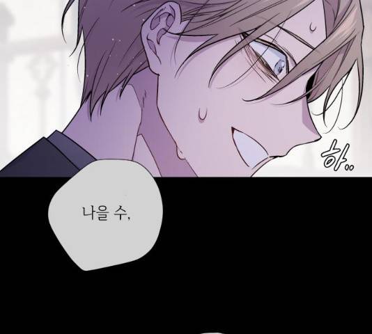그 기사가 레이디로 사는 법 26화 84