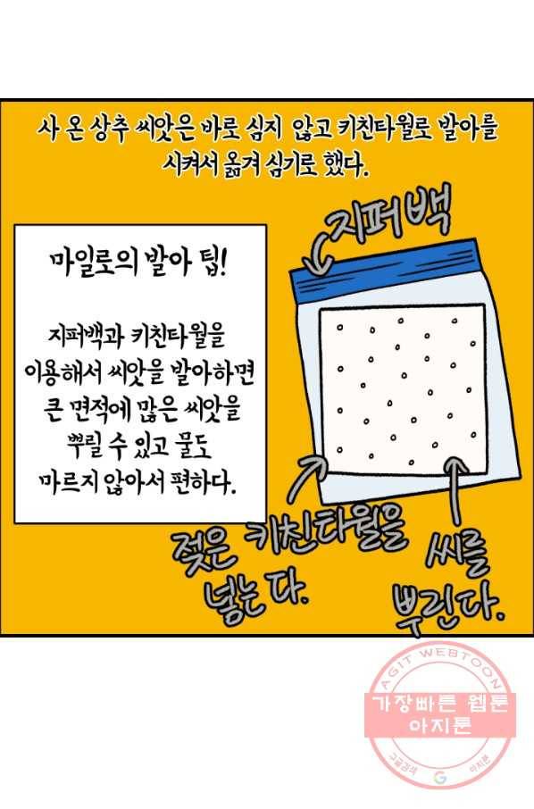 크레이지 가드너 4화 식테크 5