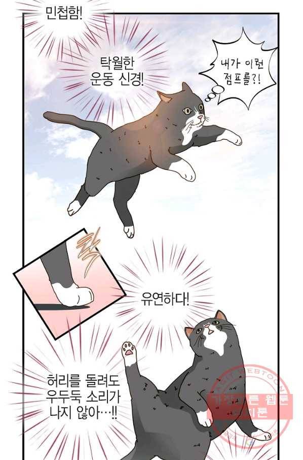 생존결혼 44화 16